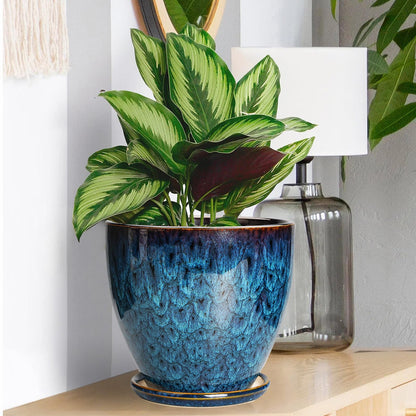 EPFamily Ceramic Plant Pot, 6.3 Inch Ceramic Planter Pot with Drainage Hole and Saucer, Succulent Round Flower Pot for Indoor Plants Outdoor, Blue