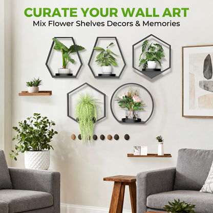 DEMEGA Wall Planters for Indoor Plants, Plant Frames Wall Decor Living Room Plant Stand Hanging Wall Plants Holder to Hold Large Pots Wall Plant Hanger Window Plant Shelves for Outdoor Entryway
