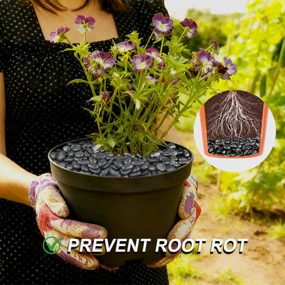 Garrdeen 5LB Black Polished River Rocks, 0.5–1.0 inch Small Pebbles for Indoor Plants, Aquarium Rocks, Fish Tank Gravel, Decorative Stones for Planters, Vase Fillers & Landscaping Decor