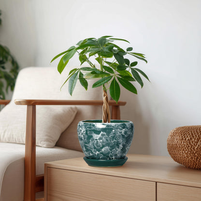Thirtypot 6 Inch Planter - Ceramic Plant Pots Indoor with Drainage Hole and Saucer, Indoor Plant Pots for Flowers Plants, Round Modern Small Planter, Bedroom Decor, Plants Lover Gift, Bubble Green