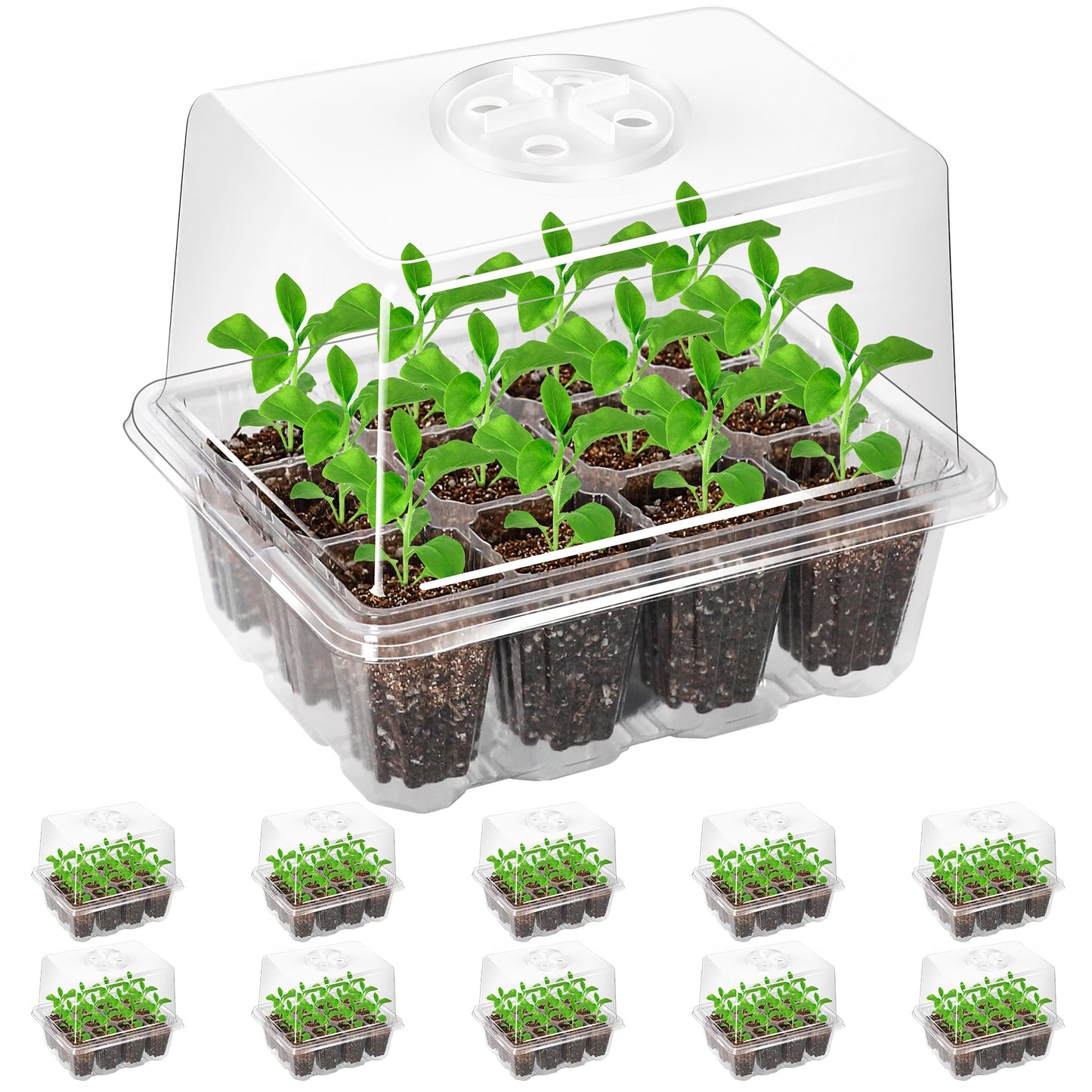Bonviee 10 Packs Seed Starter Tray with Elevated Lid, 120 Cells Thicken Seed Starting Trays Kit with Adjustable Humidity Vent, Clear Cell Tray and Heightened Lids for Greenhouse & Gardens, Clear