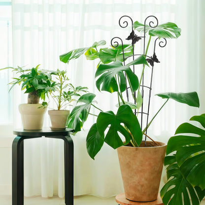 COOMIN 30'' Monstera Plant Support Outdoor, Metal Expandable Plant Supports for Indoor Plants, Garden Monstera Trellis for Climbing Plants Indoor, 2pcs