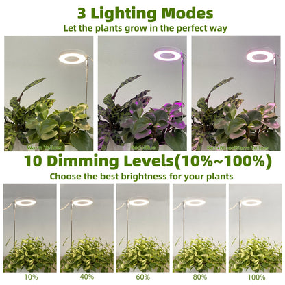 SYLIKENATE LED Grow Light for Indoor Plants, Full Spectrum led Grow Light,Mini Halo Grow Lights for Small Plants,Height Adjustable Growing Lamp,3 Modes,3/9/12h Automatic Timer,10 Dimmable Brightness