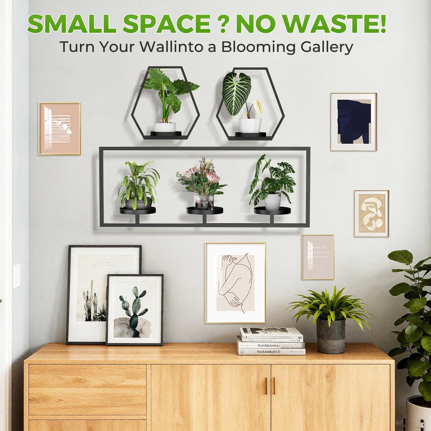 DEMEGA Wall Planters for Indoor Plants, Plant Frames Wall Decor Living Room Plant Stand Hanging Wall Plants Holder to Hold Large Pots Wall Plant Hanger Window Plant Shelves for Outdoor Entryway
