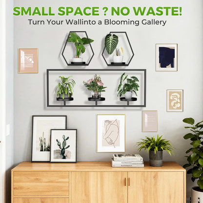 DEMEGA Wall Planters for Indoor Plants, Plant Frames Wall Decor Living Room Plant Stand Hanging Wall Plants Holder to Hold Large Pots Wall Plant Hanger Window Plant Shelves for Outdoor Entryway