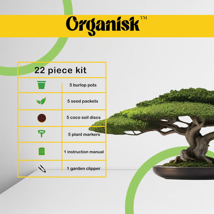 Bonsai Starter Kit - 5 Unique Tree Types, Special DIY Garden Hobby Kits - Great for Plant Lovers, for Kids, Men, Women, and Bonsai Enthusiasts