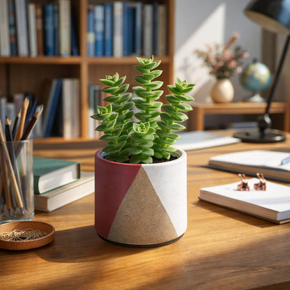 D'vine Dev 4.5" Stoneware Cachepot Planter with 4" Clear Nursery Pot & Detachable Saucer – Indoor Plant Pot with Drainage for Bottom Watering & Root Visibility, Crimson Dune, Set of 2, 93-V-B-4