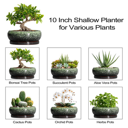 EPFamily Bonsai Pots 10 Inch - Ceramic Pots for Plants Indoor Outdoor, Succulent Pot with Drainage Hole and Saucer, Large Bonsai Planter, Round Shallow Planter, Office Decor, Gardening Gift, Green