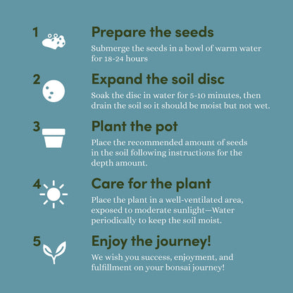 Bonsai Starter Kit - Gardening Mothers Day Gifts for Women & Men - Bonsai Tree Growing Garden Crafts Hobby Kits for Adults, Unique DIY Hobbies for Plant Lovers - Unusual Gifts Ideas Mom, Her, Friend