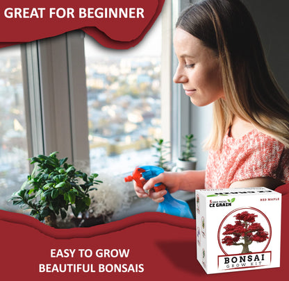 Bonsai Tree Kit – Grow 5 Species of Bonsai Tree w/Our All-in-One Plant Kit: Bonsai Pots & Peat Pellets Including a Tutorial Video by CZ Grain | Great Gardening Gifts for Women and Men