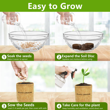 Bonsai Tree Kit, Bonsai Starter Kit with 4 Types of Seeds, Tools & Planters, Bonsai Tree Live Plants Indoor, Gardening Gifts for Women Men Mom Father Plant Lover, Unique