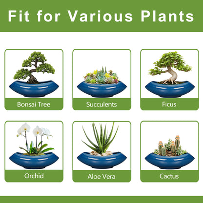 Teagas Bonsai Tree Pot 18 Inch - Ceramic Succulent Pots Large Bonsai Planter for Indoor Outdoor Plants Decorative Plant Pot with Drainage Hole Flower Pot for Home Garden Room Decor Blue