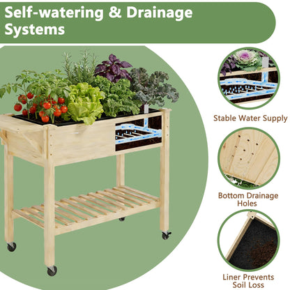 Cakhdry Raised Garden Bed with Legs and Wheels, Self-Watering System, 34x18x30in Elevated Planter Box with Storage Shelf & Liner for Flowers Vegetables Herbs, Raised Bed for Outdoor/Balcony/Patio