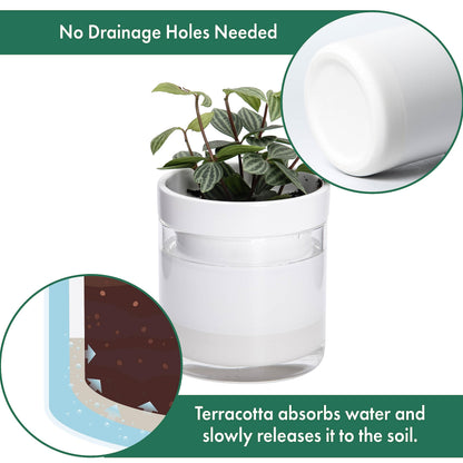 Phoenix Vine 4 Inch Self Watering Planter, White Terracotta Clay Pot with Glass Reservoir for Indoor Plants, Herbs, Flowers, Set of 1, 52-B-E-1