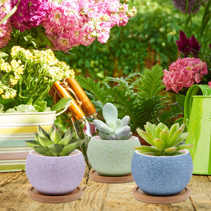 6 Pack Ceramic Succulent Pots with Drainage – Small Round Planters for Indoor Plants & Cactus, Mini Flower Pots with Bamboo Trays, Desk & Home Décor, Gift for Plant Lovers, Office, Balcony, Garden