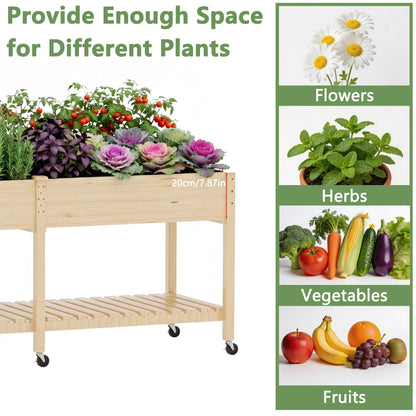Cakhdry Raised Garden Bed with Legs and Wheels, Self-Watering System, 72x24x30in Elevated Planter Box with Storage Shelf & Liner for Flowers Vegetables Herbs, Raised Bed for Outdoor/Balcony/Patio