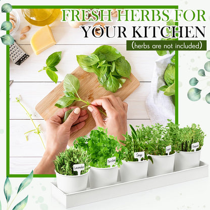 FoldTier 2 Sets Herb Garden Planter Indoor Kit with Trey 10 Pcs Metal Windowsill Plant Pots with Drainage Holes Indoor Herb Planter with Marker and Labels for Home Outdoor Plants(White)