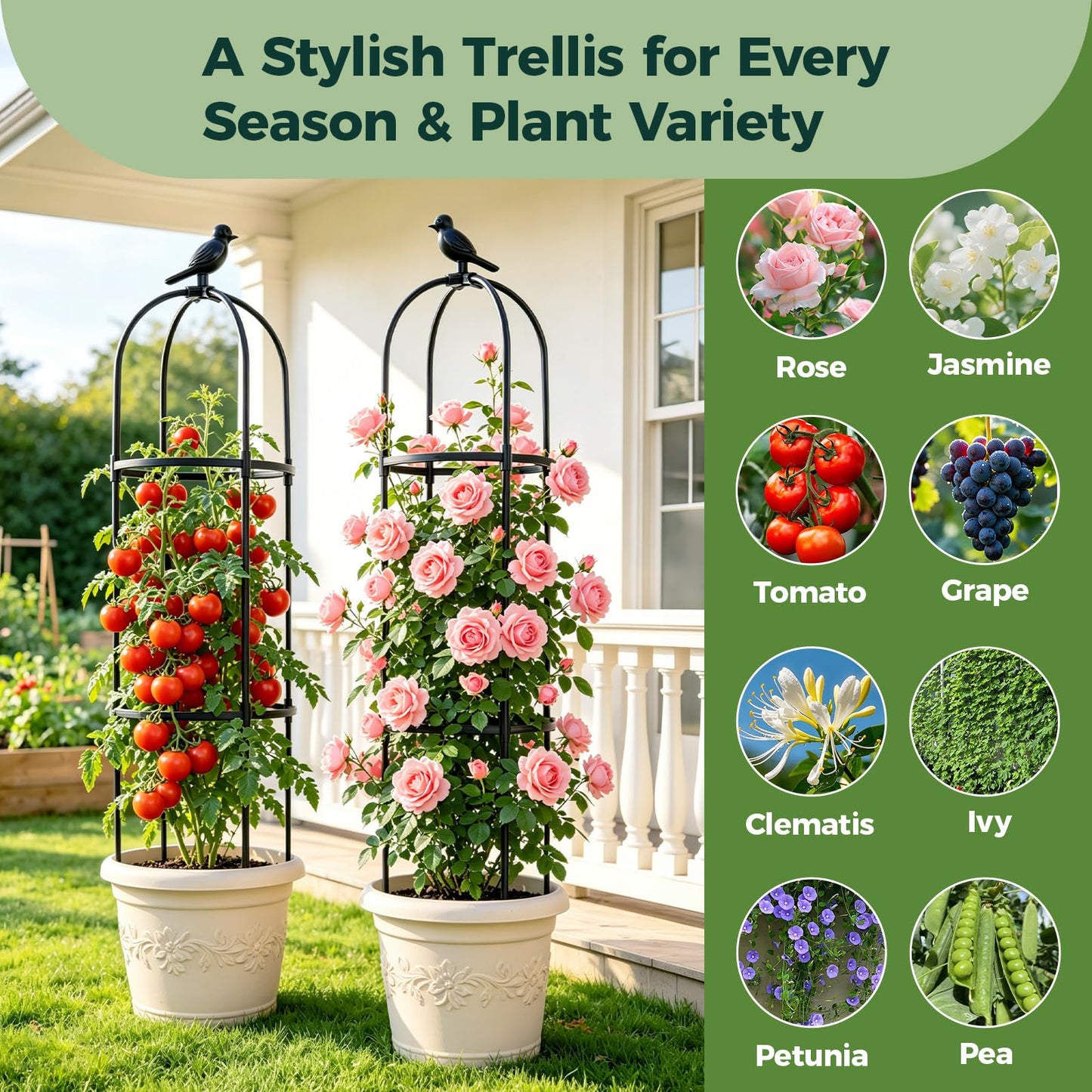 1pcs Garden Obelisk Trellis for Climbing Plants Outdoor, Tomato Cages for Garden, Metal Rustproof Plant Support Trellis for Potted Plants, Rose, Vine, Vegetable for Outdoor & Indoor Use (Black)