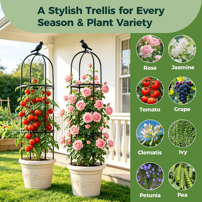 1pcs Garden Obelisk Trellis for Climbing Plants Outdoor, Tomato Cages for Garden, Metal Rustproof Plant Support Trellis for Potted Plants, Rose, Vine, Vegetable for Outdoor & Indoor Use (Black)