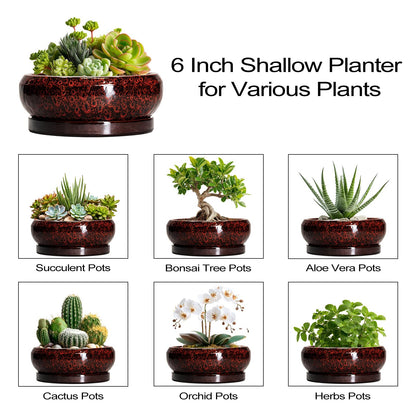 EPFamily Succulent Planters 6 Inch - Ceramic Bonsai Pots with Drainage Hole and Saucer, Small Bonsai Planter, Round Planter Bowl, Shallow Plant Pots Indoor, Room Decor, Gifts for Plant Lovers, Red