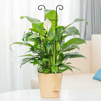 Xeeol Plant Trellis for Potted Plants 2p, Larger 23in Garden Trellis for Climbing Plants Indoor Outdoor, Rustproof House Plant Support Stakes for Pothos Hoya Ivy Flower