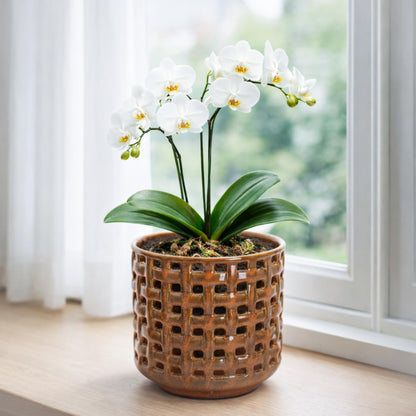 D'vine Dev 6.7 Inch Ceramic Orchid Planter with Lattice Cutout Design, Glazed Cachepot with Clear Nursery Pot & Detachable Saucer for Orchids and Indoor Plants, Pumpkin, 28-A-Y-5
