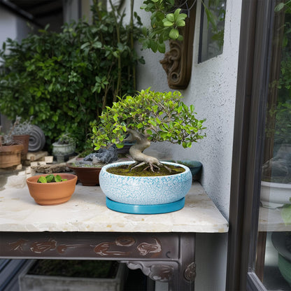 EPFamily Succulent Pots 8 Inch - Ceramic Bonsai Pots with Drainage Hole and Saucer, Succulent Planters for Indoor Plants Outdoor, Round Shallow Planter Bowl, Porch Decor, Gardening Gifts, Blue