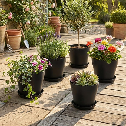 BTPLASTIK 6 Pack 8-Inch Plastic Planter with Saucer, Black- Durable Non-Slip Stackable Indoor/Outdoor Plant Pots with Large Drainage Holes, Minimalist Curved Design for Succulents, Herbs, Cacti