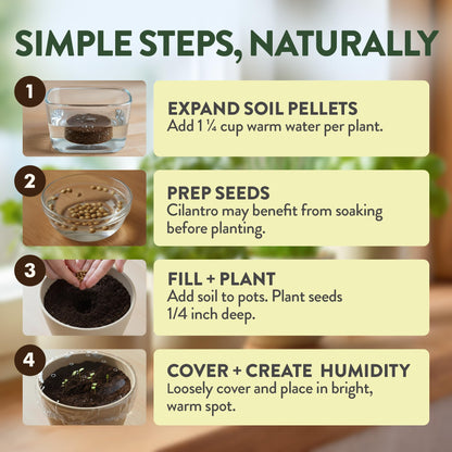 HOME GROWN Indoor Organic Herb Garden Kit, Unique Valentines Day Gift for Adults, Men, & Women,Grow 4 Herb Seeds for Kitchen Window Garden,Beginner DIY Hobby Gardening Gift for Plant Lovers, Mom & Dad