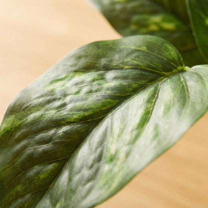 TentoWhan Artificial Plants Faux Pothos with Plastic White Pot Artificial Potted Plant for Home Office Bedroom Indoor Outdoor Decor 1 Pack(Dark Green)