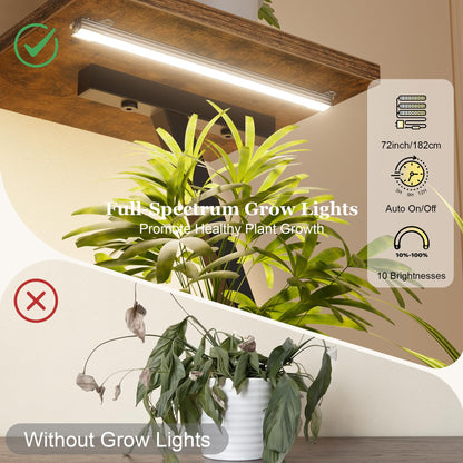 Plant Stand Indoor with Grow Lights - Lighted Indoor Plant Shelf Tall, 61" 7 Tier Large Plant Stands for Indoor Growing, 2 Pack Corner Flower Shelves, Half-Moon Metal Holder for Home Living Room Black