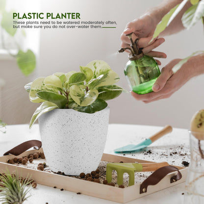 Utopia Home - Spotty Plant Pots Indoor with Drainage - 7/6.6/6/5.3/4.8 Inches Flower Pots - 10 Pack Plastic Planters - Ideal for Stocking Stuffers - (Speckled Grey, Pack of 10)