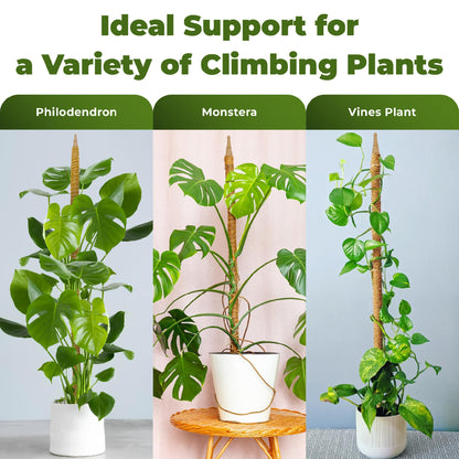 2 Pack 48'' Bendable Moss Pole Monstera Plant Support for Climbing Indoor Plants - Stakes for Potted Climbers - Tall Sticks Indoor Trellis for Houseplants - Accessories for Monstera Pot