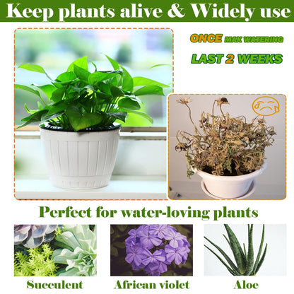 3 Packs 6.5 Inches Self Watering Pots for Indoor Plants Large Plastic African Violet Pots Home Flower Pot Planters for Devil's Ivy, Spider Plant, White
