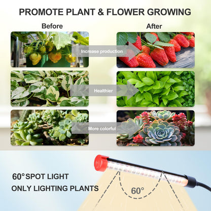 FECiDA 2026 3Head Table Top Grow Lights for Seed Starting, Indoor Plants, Bonsai, 27 Watt Power Draw, NO Need Adapter, 4/8/12/16/20H Timer, 16"-24" Height Adjustable