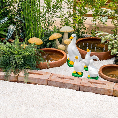GreatBuddy 10-lb Decorative Rocks for Indoor Plants, 3/8" White Pebbles, Small Rocks for Potted Plants, Succulent, Vases, Aquariums, Fish Tanks, Garden Landscaping, Natural Polished
