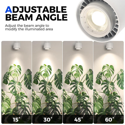 Barrina TR40 Hanging Grow Lights for Indoor Plants, 40W 4000K Full Spectrum, Adjustable Beam Angle 15°-60°, Hanging Grow Light with Mechanical Timer and 16.4FT Power Cord, for Garden Greenhouse, White