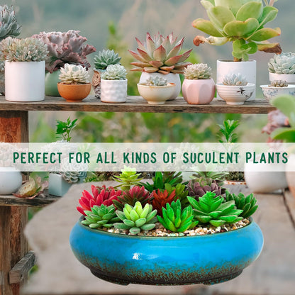 ARTKETTY Succulent Pots, Ceramic Bonsai Pots with Drainage, Large Shallow Succulent Planters for Indoor Outdoor Plants, Round Glazed Cactus Flower Plant Container Bowl