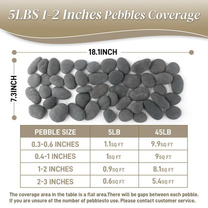 Quibbay 5 lbs Natural Mexican Beach Pebbles, 1-2 Inch Large River Rocks for Plants and Landscaping, Decorative Stone for Fish Tank Aquarium Fountain Garden Paving Walkways Pathways Backyard, Grey