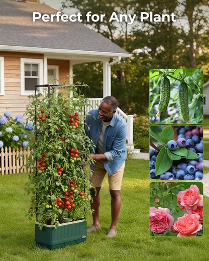 Tomato Planter with Trellis, Self Watering Planter Box with Trellis, Vertical Raised Garden Bed Planter for Climbing Vegetables Indoor Outdoor Patio