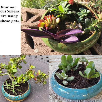 ARTKETTY Succulent Pots, 7.3 Inch Succulent Planters with Drainage Pack of 2, Shallow Bonsai Pot with Tray Ceramic Pots for Indoor Plants Large Cactus Flower Plant Bowl