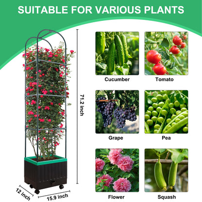 Yhtpouqe Raised Garden Bed with Self Watering Garden Pots, Planter Box with Trellis for Climbing Plants Vegetable Vine Flowers, Tomato Cage Planter for Indoor Outdoor Yard Greenhouse Use