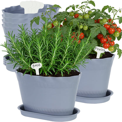Oliz Herb Planter Pots 6 Pcs, Window Box Planter Flower Plants Pots for Succulent Cactus Flower with Trays, for Home Garden Kitchen Decor (Grey)