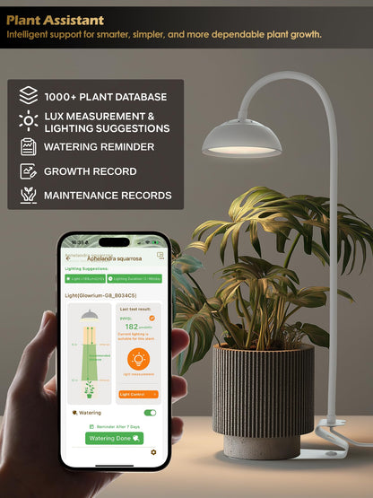 GLOWRIUM Smart Grow Lights for Indoor Plants,10W Full Spectrum LED Plant Light with 3/9/12 Timer,10 Dimmable Levels,Height Adjustable Grow Light with Base (White)