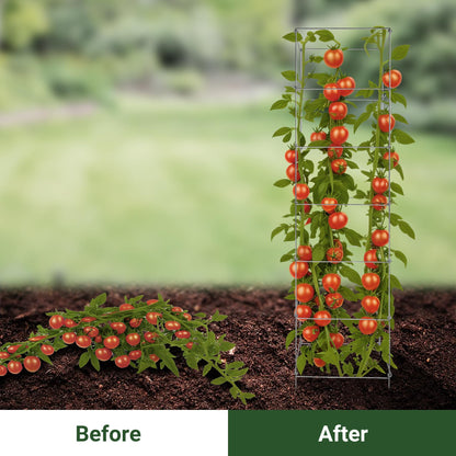 Toriexon Metal Foldable Tomato Cages 13" x 56", Square Tomato Cages Plant Support for Vegetable Garden, Heavy Duty Tall Tomato Cages for Beans, Tomatos, Cucumbers - 5 Pack