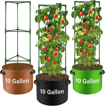 Suntee 2 Pack 48" Large Artificial Ferns, 3 Pack Tomato Cage with 10 Gallon Grow Bags