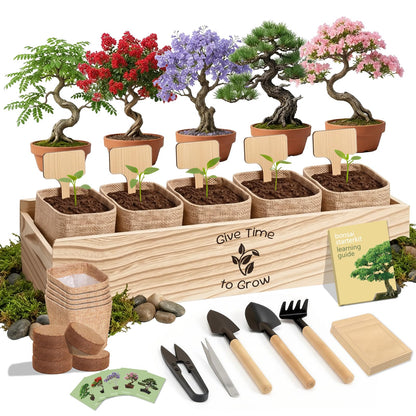 JELHFIP Bonsai Tree Starter Kit for Beginners 5 Unique Indoor Bonsai Trees with Gardening Tools DIY Bonsai Growing Kit Perfect Gifts for Women Men Plant Lovers for Birthday Mothers Day Housewarming