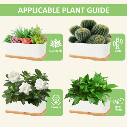 Leismy 2 PCS Succulent Pot Cactus Containers White Ceramic Planter with Drainage Hole and Removable Tray Small Plant Pots for Home Office Decor Bonsai Container for Indoor Outdoor Plants (Rectangle)