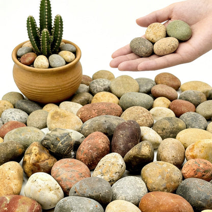 2-3 Inch Mixed Round Pebbles, Smooth River Rocks for Rock Painting, Planters, Vase Filler, Fish Tank, Aquarium Decor & Garden Landscaping, 12LB