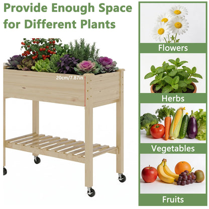 Cakhdry Raised Garden Bed with Legs and Wheels, Self-Watering System, 34x18x30in Elevated Planter Box with Storage Shelf & Liner for Flowers Vegetables Herbs, Raised Bed for Outdoor/Balcony/Patio